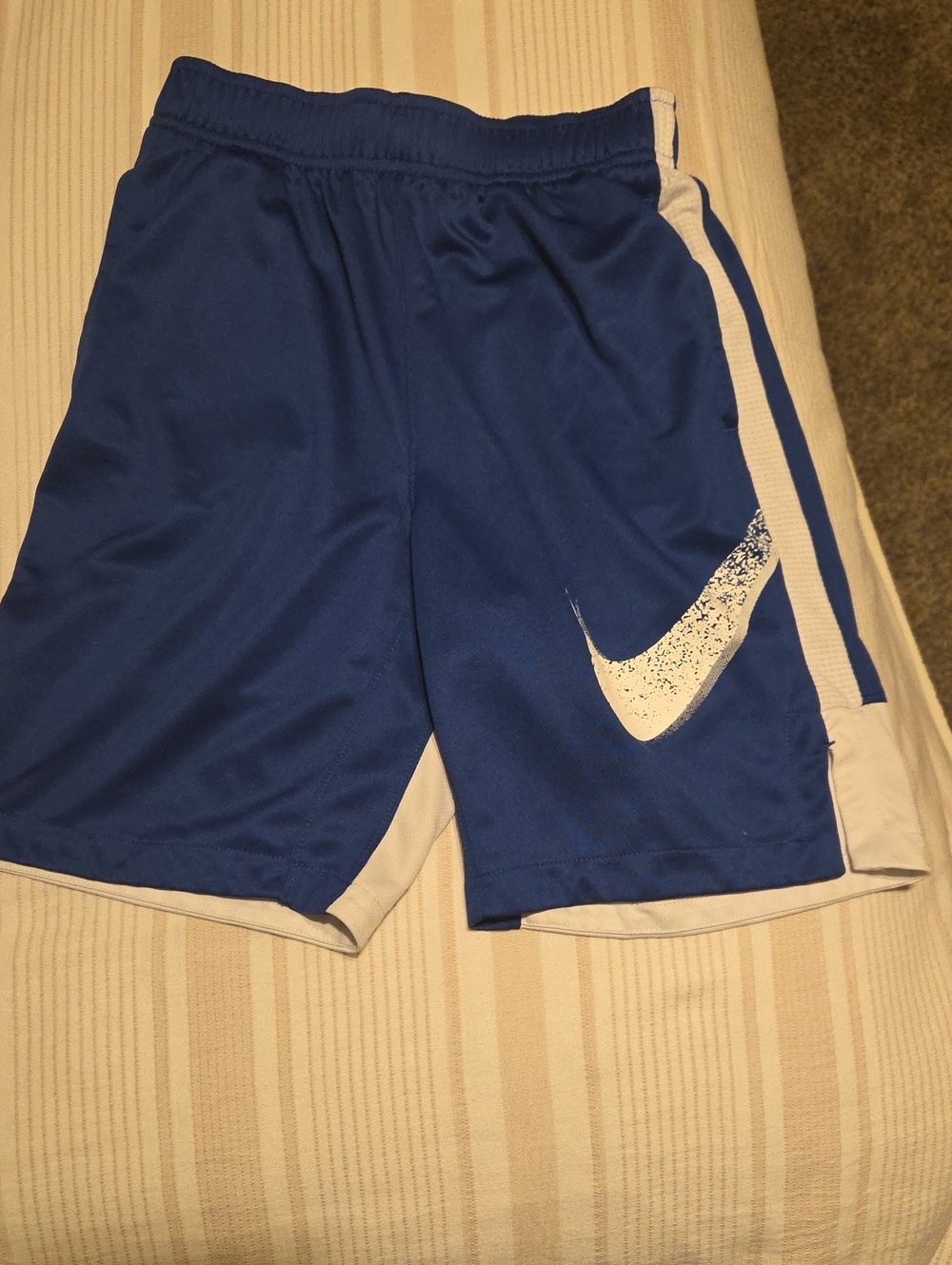 Nike Blue Athletic Shorts with White Swoosh